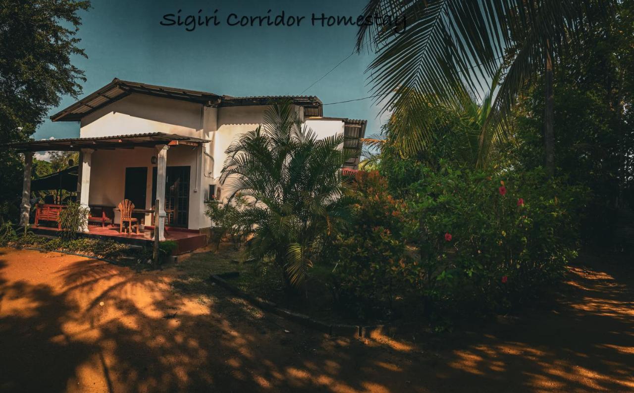 Homestay Sigiri Corridor Sigiriya