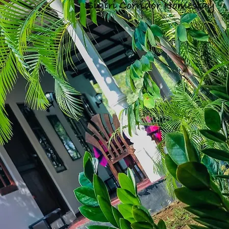 Sigiri Corridor Home Stay Sigiriya Exterior photo